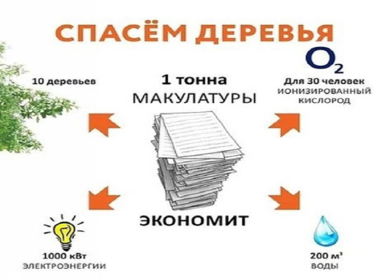 СПАСЁМ ДЕРЕВО!.